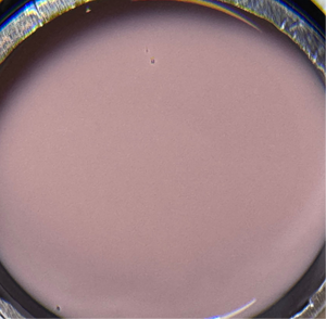 Coffee rose builder gel 50g tpo free