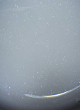 Milky shimmer builder gel (50g)Tpo free