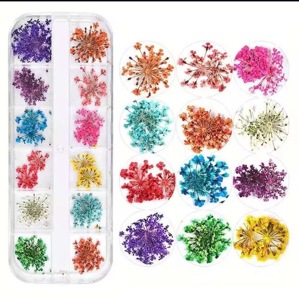 Mixed Dried Flower Nail Decoration 12x5g / Jewelry Natural Flower