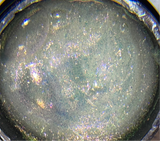 Chameleon mermaid builder gel 50g tpo free