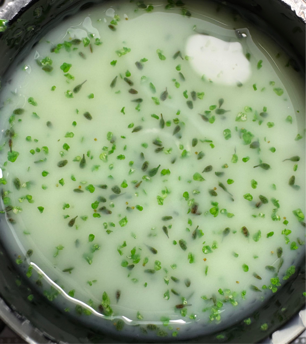 Milky flower BG CorionS 08/ T&H free 50 g