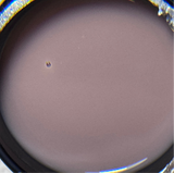 Coffe rose builder gel 50g tpo free