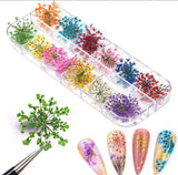 Mixed Dried Flower Nail Decoration 12x5g / Jewelry Natural Flower
