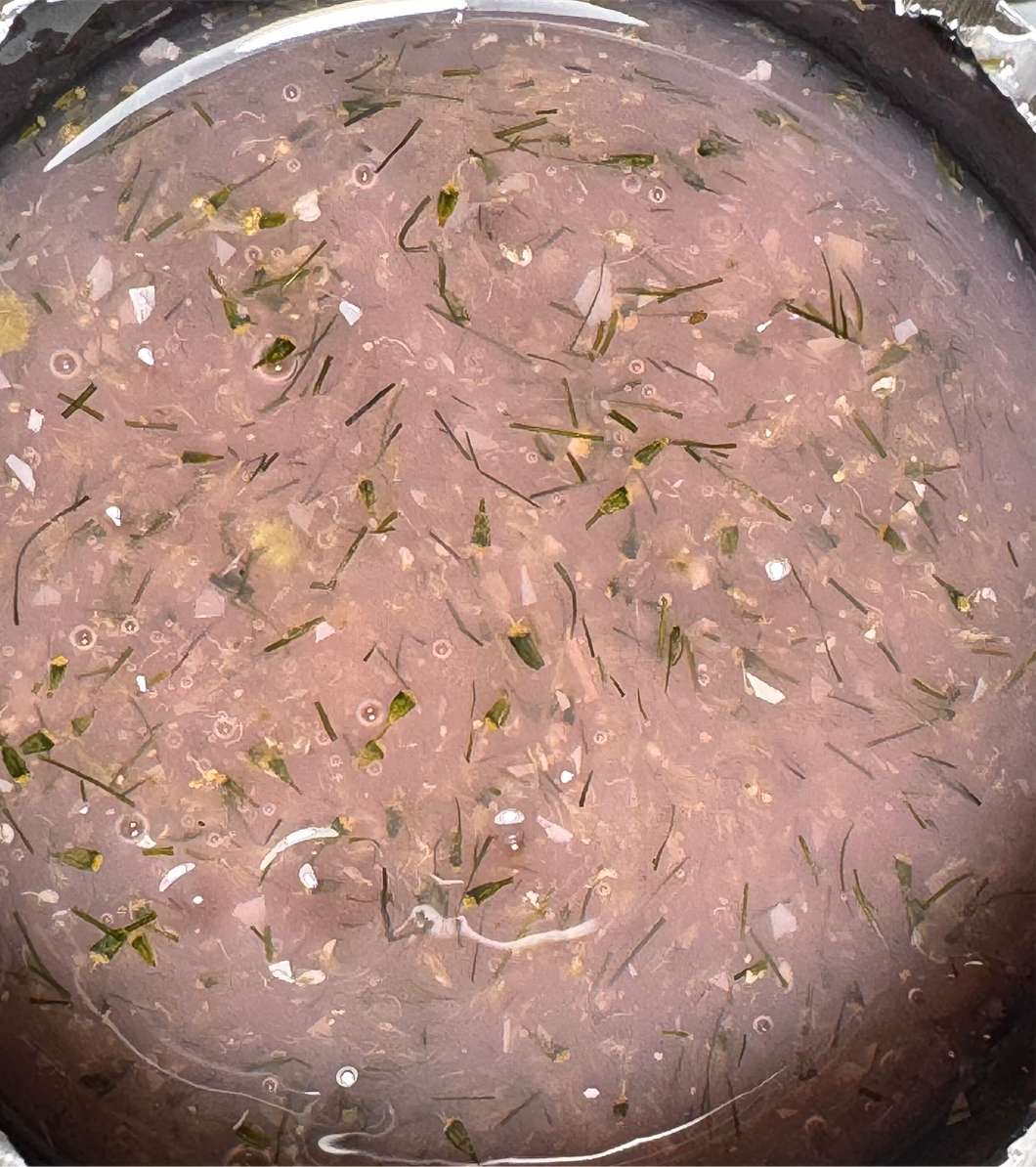 Colorful blossom BG CorionS 05/ T&H free , 50g