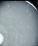 Snowflakes builder gel 50g tpo free